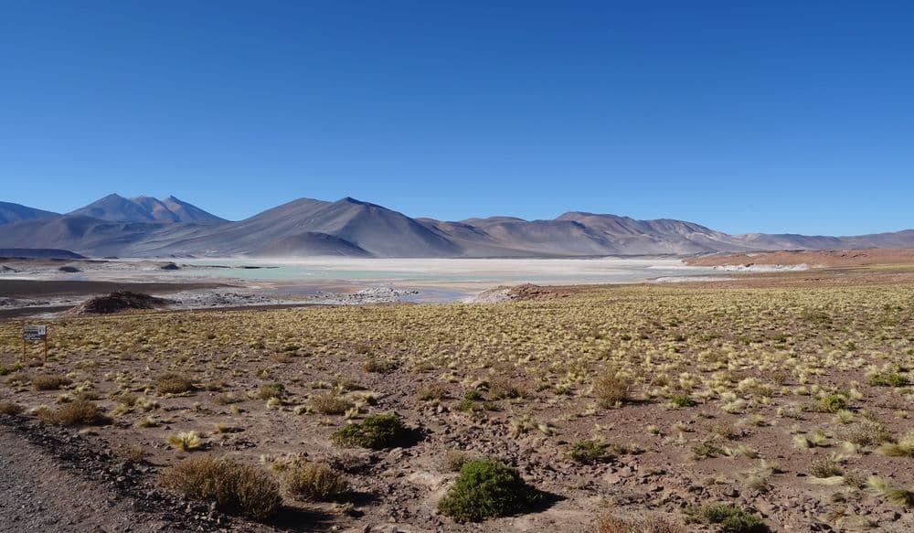 Salar del Carmen, Atacama-Wüste