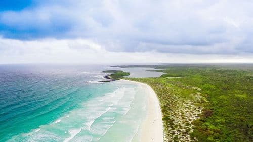 Tortuga Bay Beach