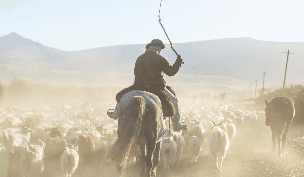 pampa-argentinien