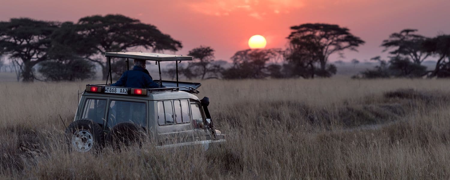 Tanzania Safari