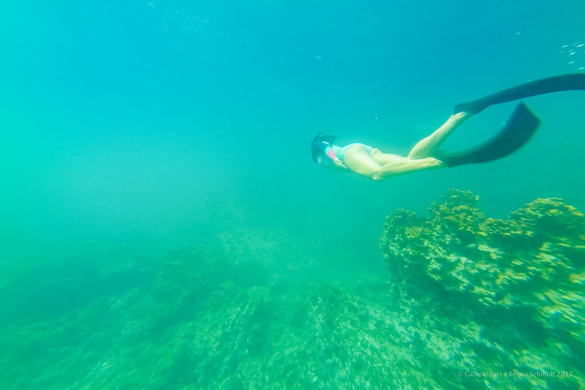 espanola - la pinta yacht galapagos cruise - gal0104