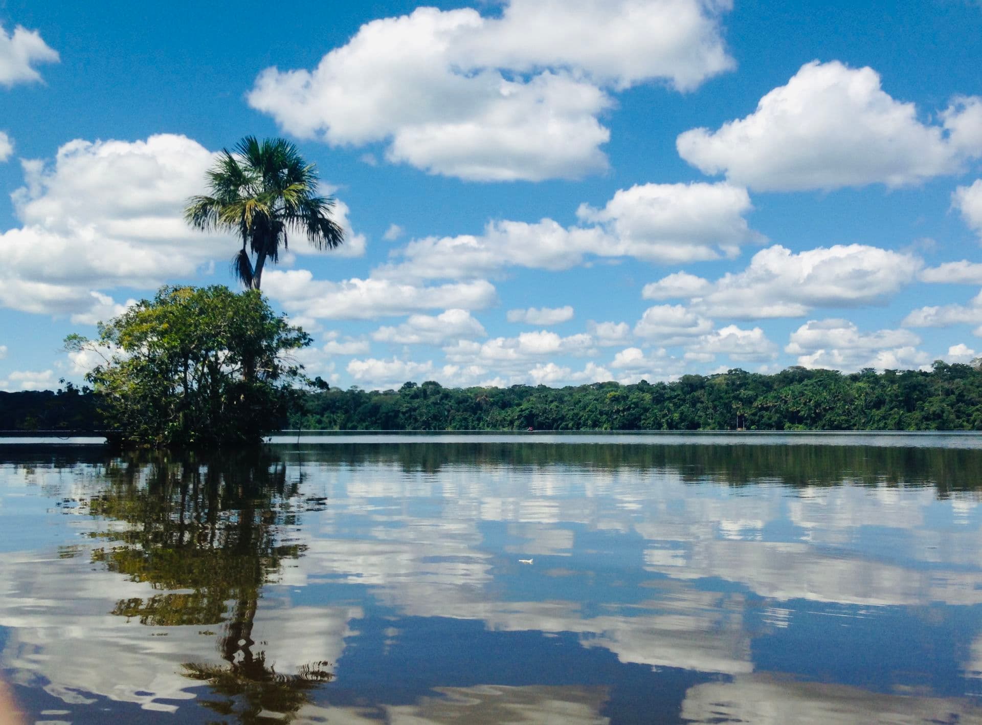 lago sandoval