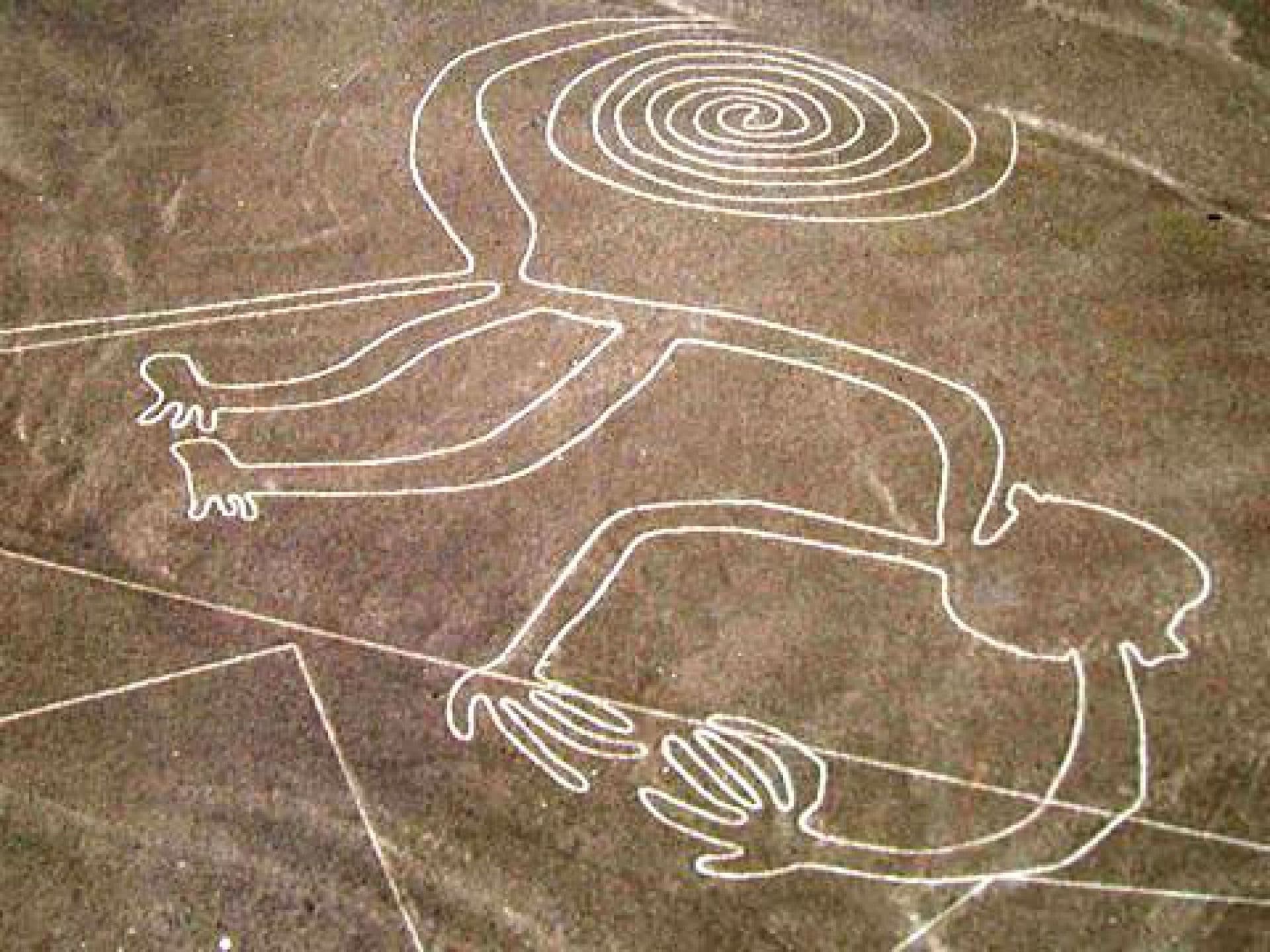 Lineas nasca