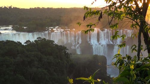 Brazil header