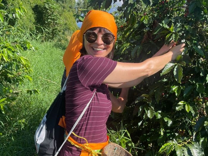 Coffee Region