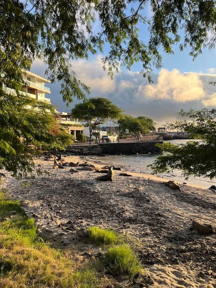 San Cristobal