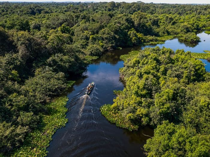 Manaus