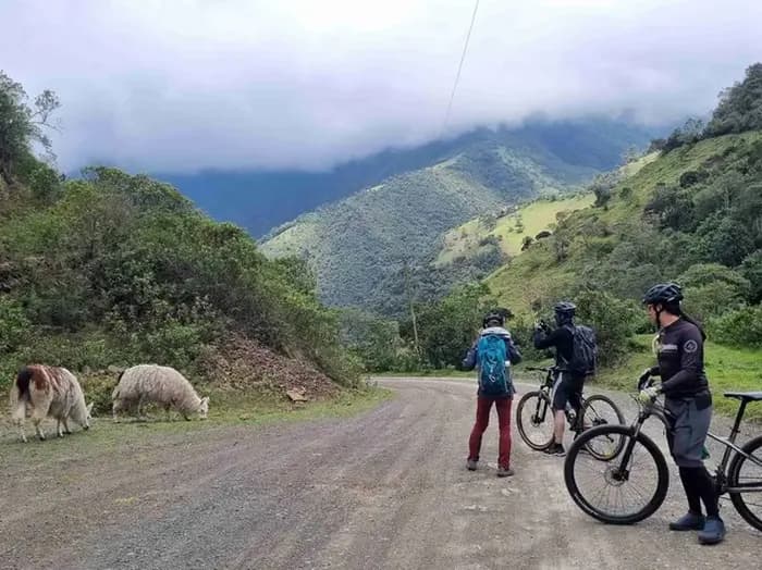 mountain bike