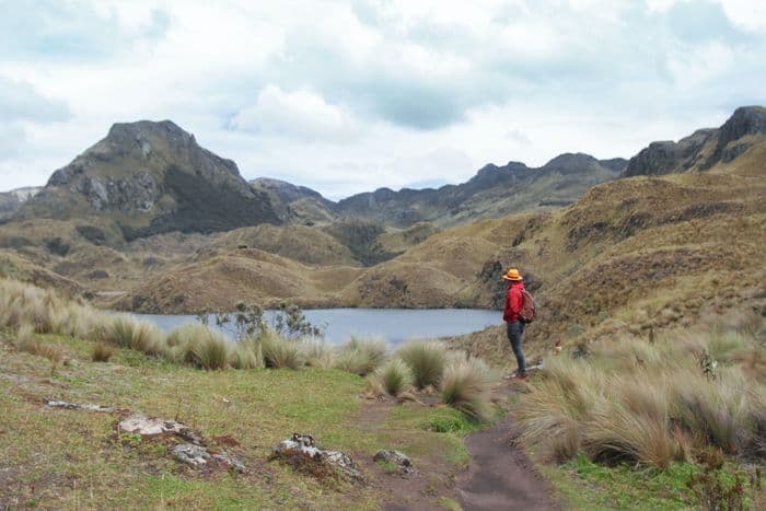 Cajas