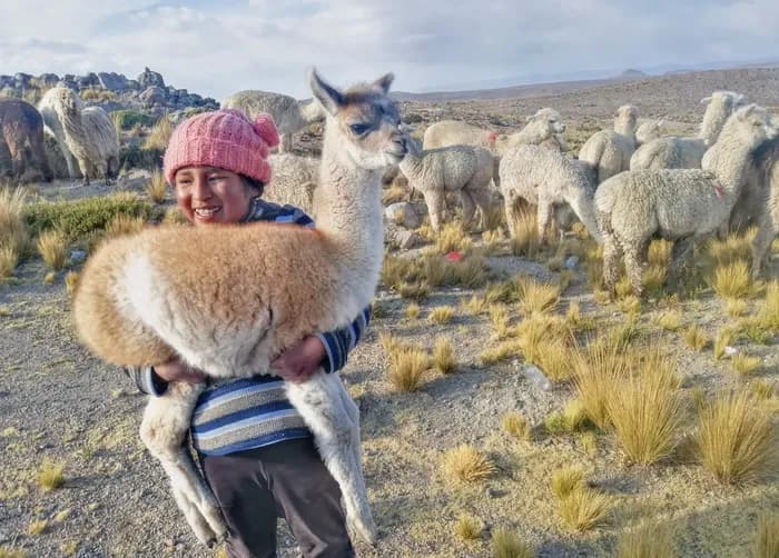 lama boy
