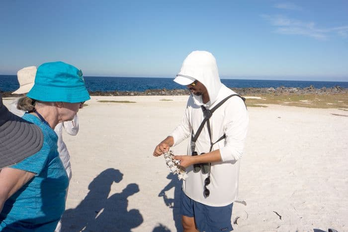 Santa Cruz - Bachas Beach -  samba galapagos cruise - gal0052