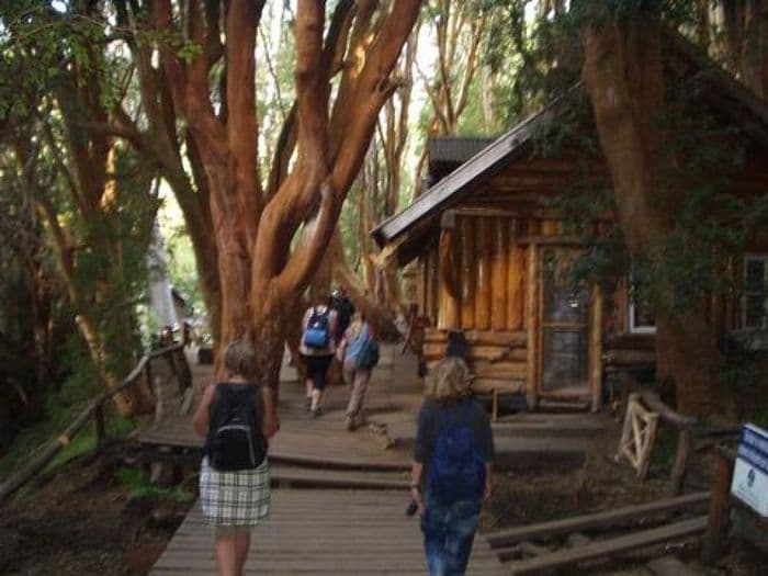 Die  Gruppe im Arrayanes Wald