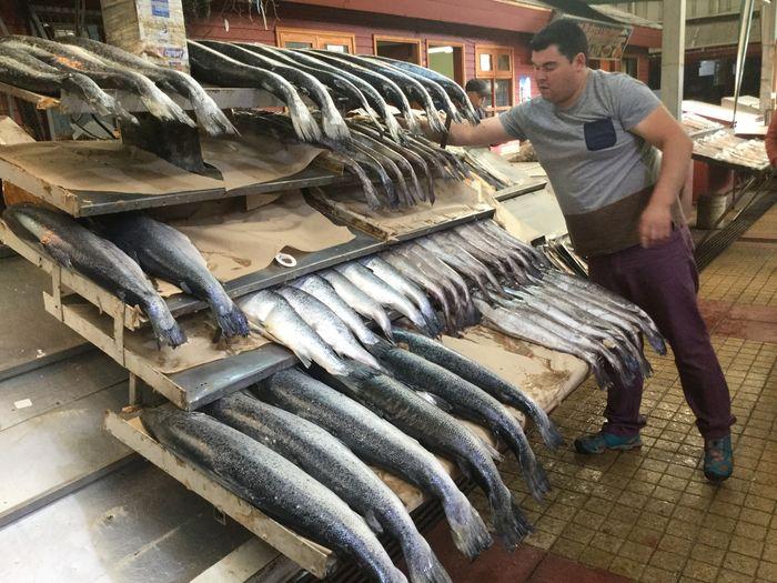 Der Fischmarkt in Angelmo Puer