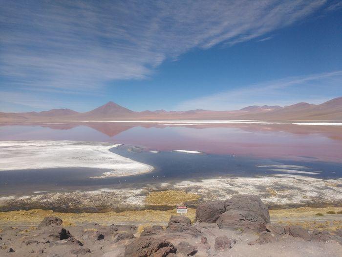 Die Lagune Colorada - die rote