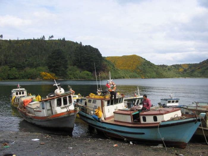 Fischerboote auf Chiloé