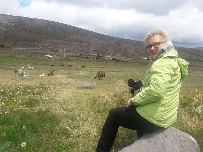 Auf 4000 hm.. mit Lamas, Alpak