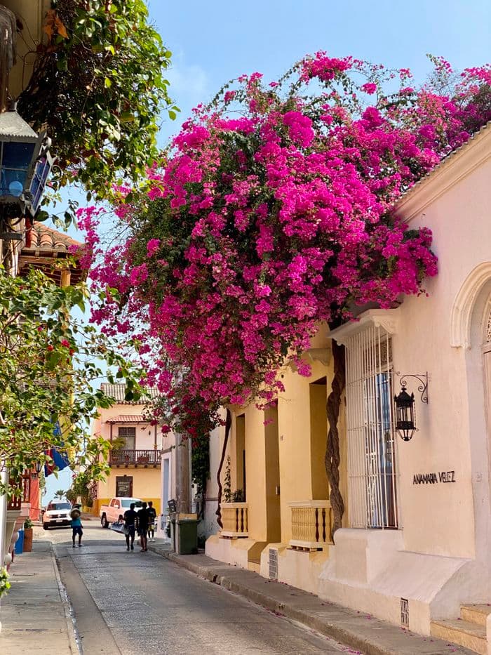 cartagena