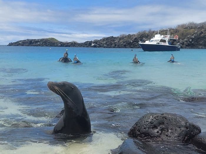 Isla Lobos