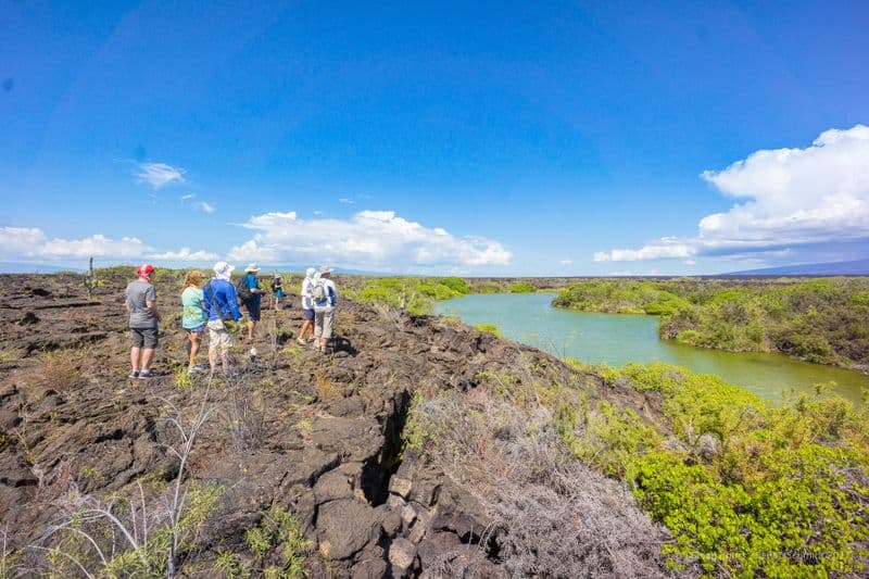 Isabela - Elisabeth Bay - Punta Moreno -  samba galapagos cruise - gal0052
